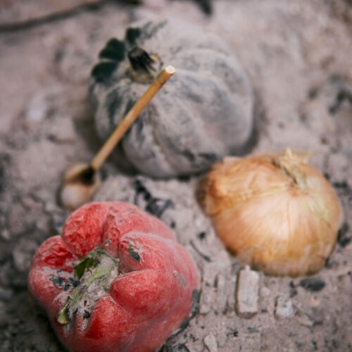 ember roasted vegetables