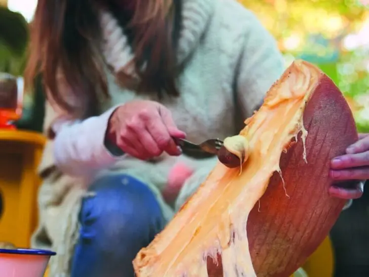 Fireside Raclette 1 Fireside Raclette