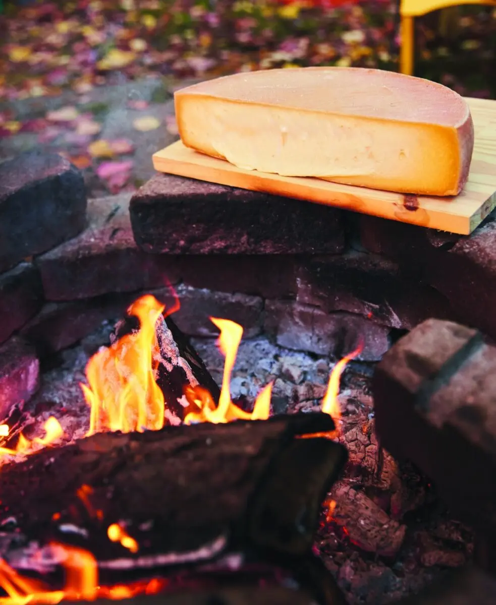 A half wheel of raclette warming on a board beside the campfire flames